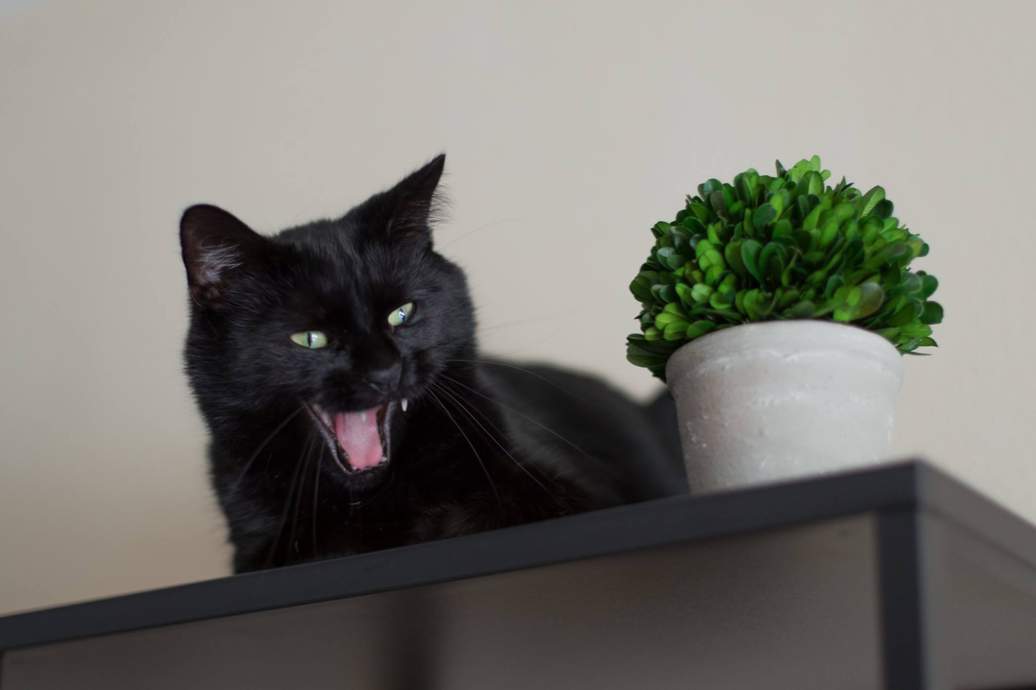 Gal laughing to himself.